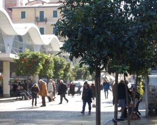 Restyling di Piazza Cavour, il Consorzio Vivi il Centro appoggia Confcommercio