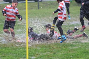 Rugby, l&#039;Under12 della DR Ferroviaria vittoriosa sotto al diluvio